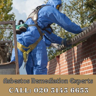 Asbestos Remediation Experts Hampton Court Palace