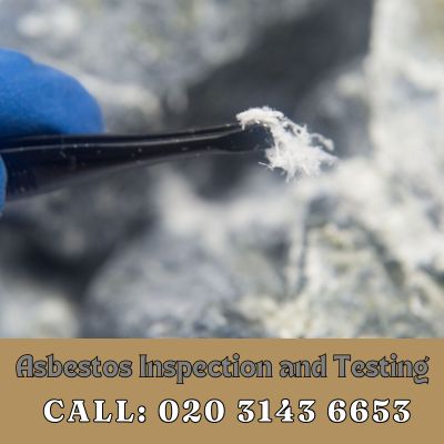 Comprehensive Asbestos Inspection and Testing Services in Hampton Court Palace